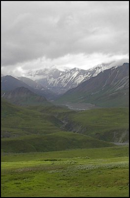 Scene